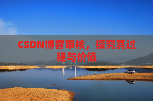 CSDN博客审核,探究其过程与价值